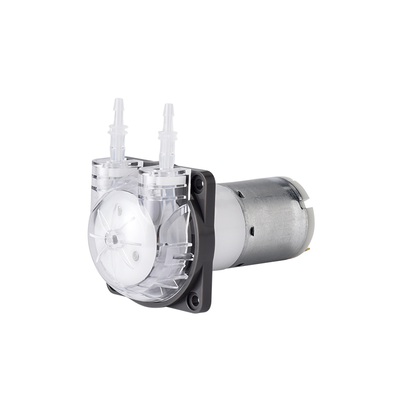 Pompa Peristaltik Mikro PENGPU - Mini Peristaltic Pump 12V ulasan dan harga