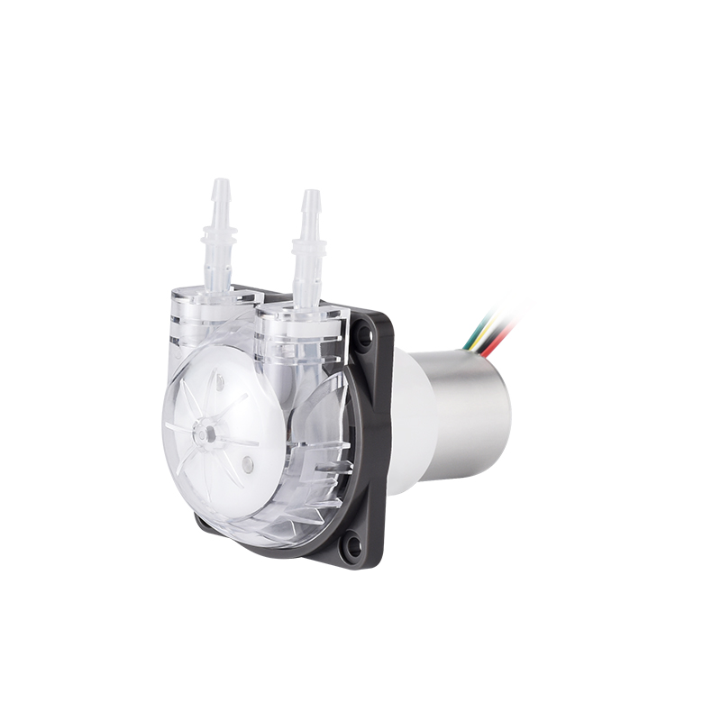 Pompa Peristaltik Mikro PENGPU - Mini Peristaltic Pump 12V ulasan dan harga